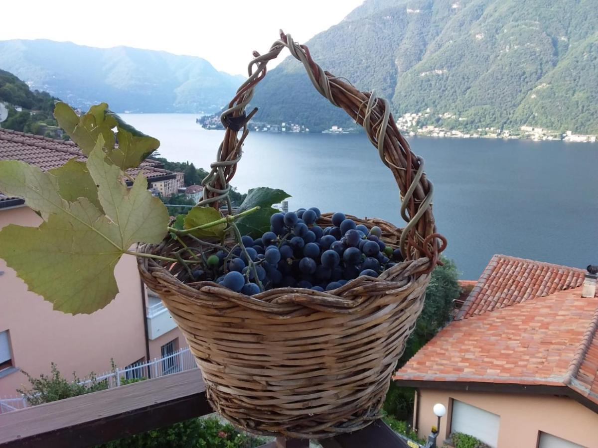 Romantic Home - Lake Como Несо Екстериор снимка