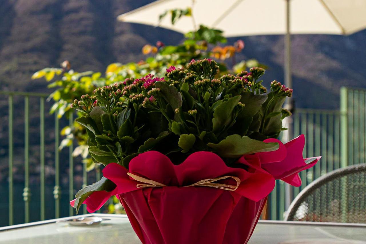 Romantic Home - Lake Como Несо Екстериор снимка